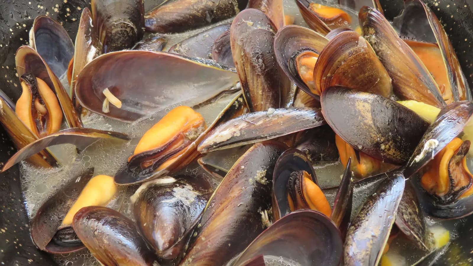 From Sea to Table From Sea to Table